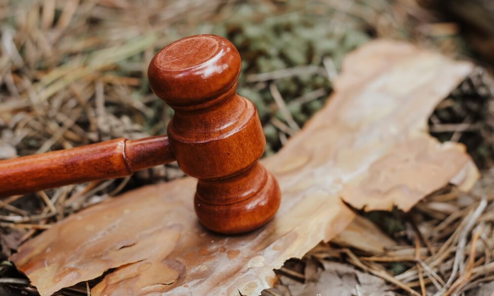 Appeal Lawyers in Georgia