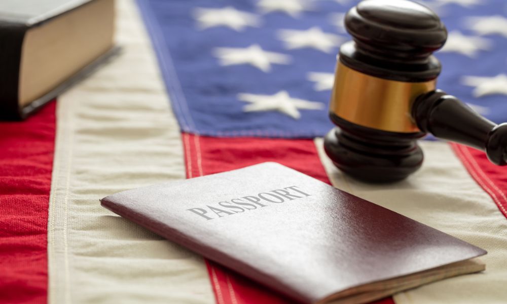 Immigration Lawyer